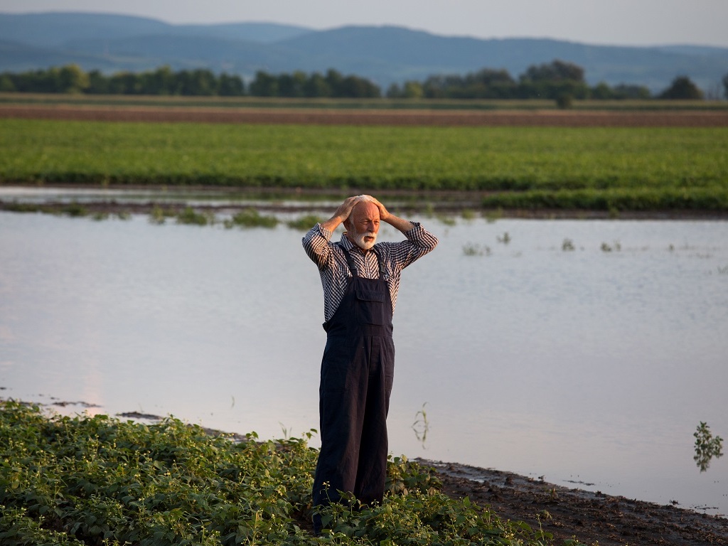 onu systèmes alimentaires péril