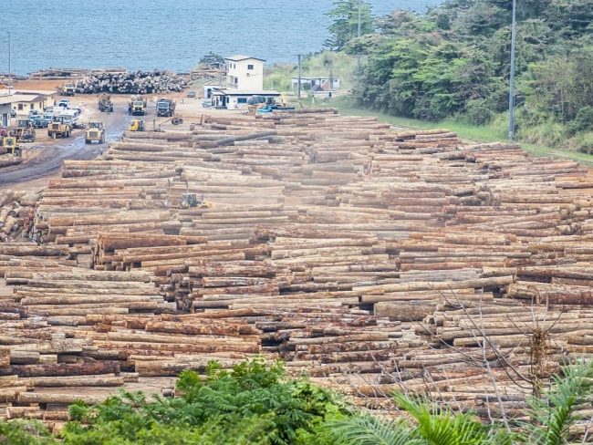 forêts d'afrique centrale poumon vert vulnérable