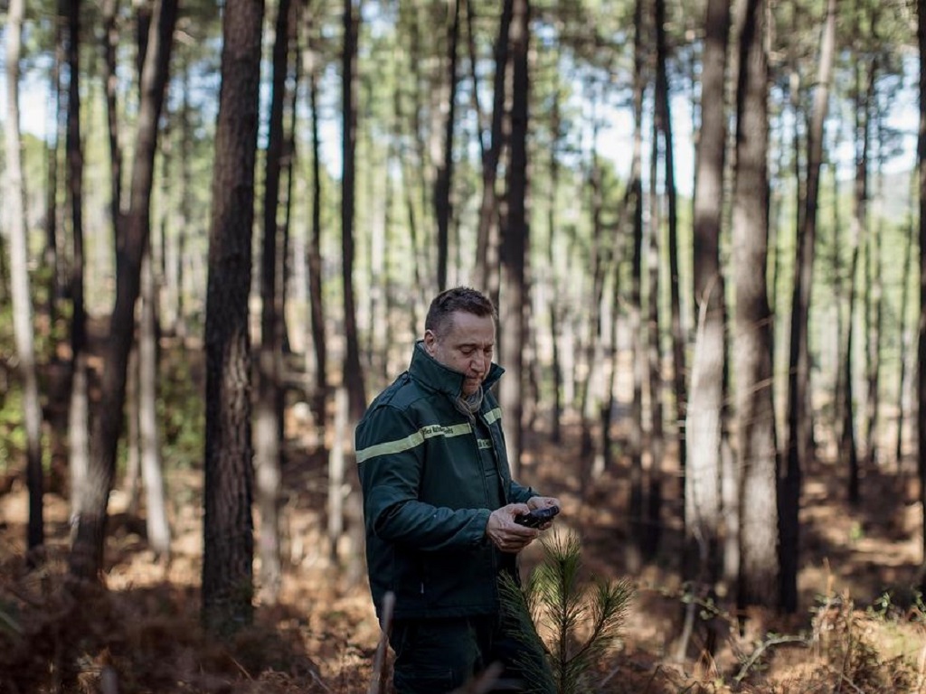 projets de protection de la biodiversité en forêt