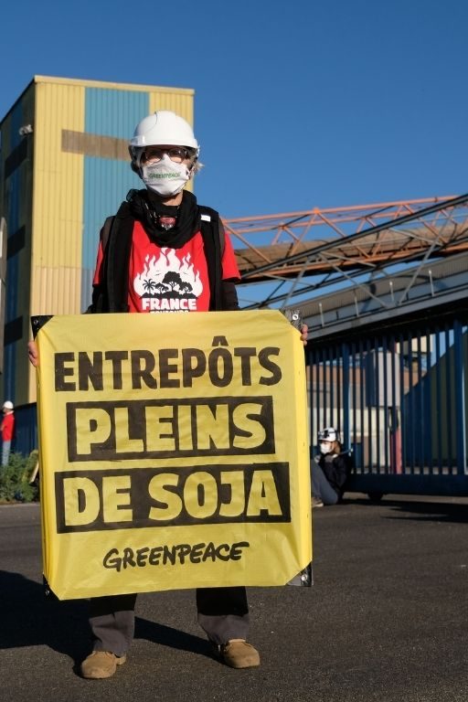 greenpeace action soja