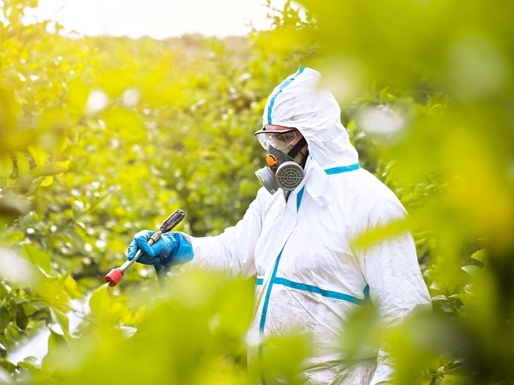 pesticides toxiques cachés