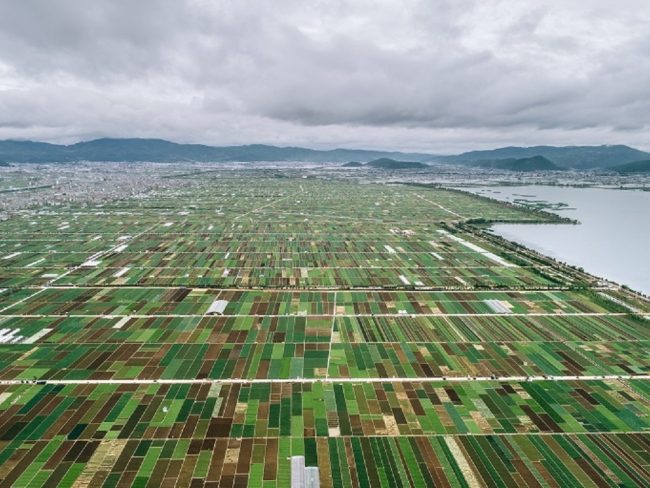 europe cnrs étude nourrir bio autosuffisance 2050