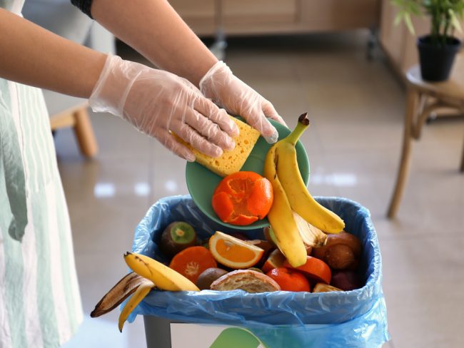 biodechets-ile-de-france-recyclage-energie