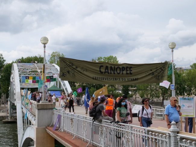 extinction rebellion canopée