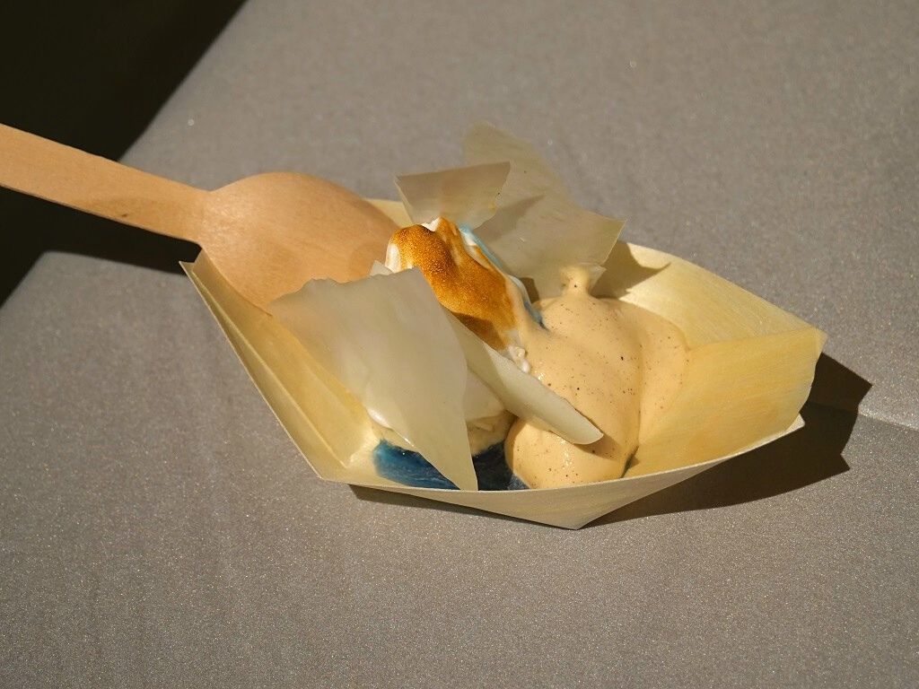 été polaire glace Emmanuel Ryon