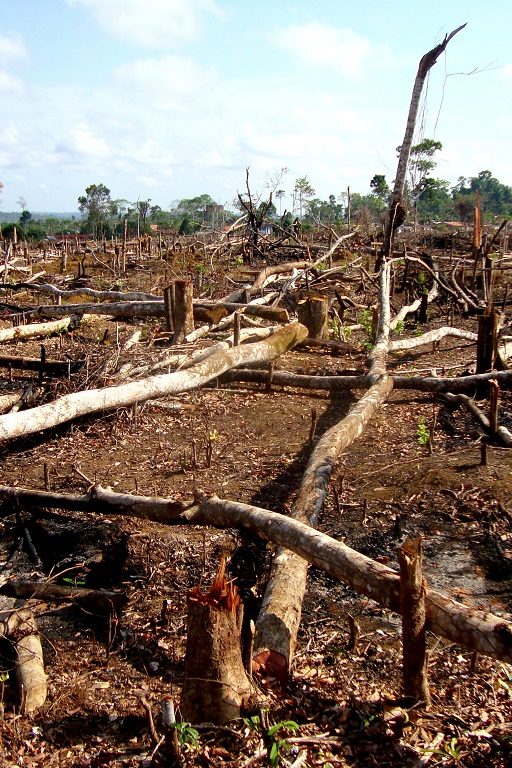 étude-terre-signes-vitaux-rupture-climat