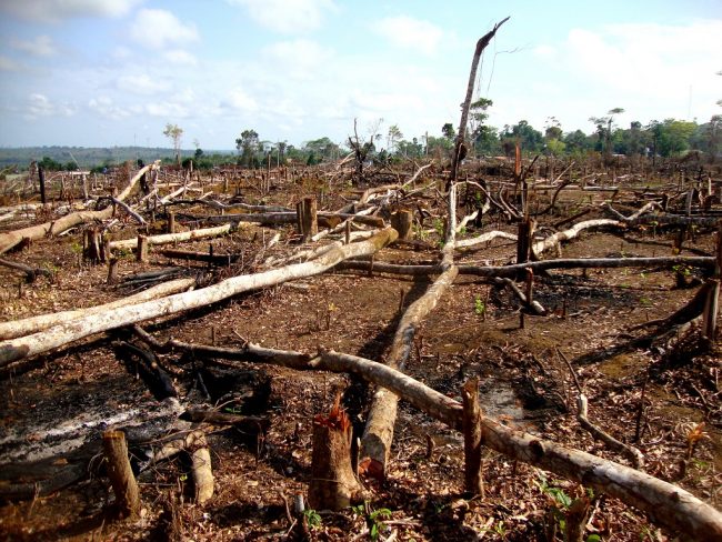 étude-terre-signes-vitaux-rupture-climat