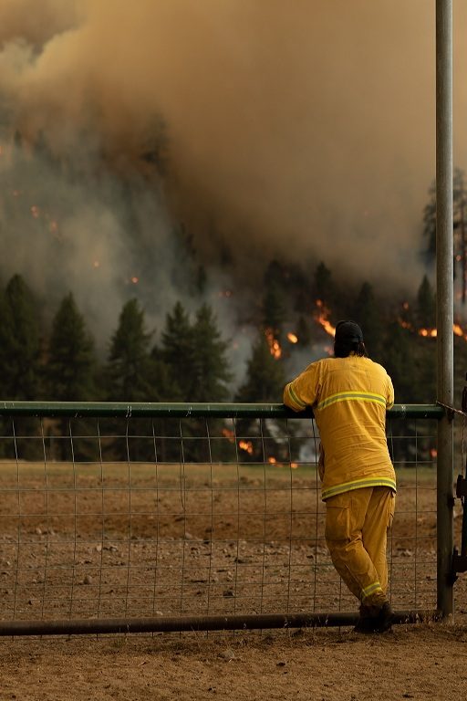 incendies-changement-climatique-europe-états-unis-sibérie