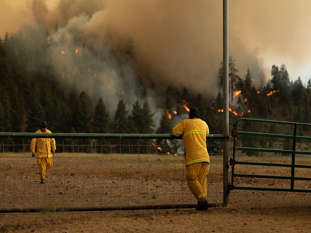 incendies-changement-climatique-europe-états-unis-sibérie