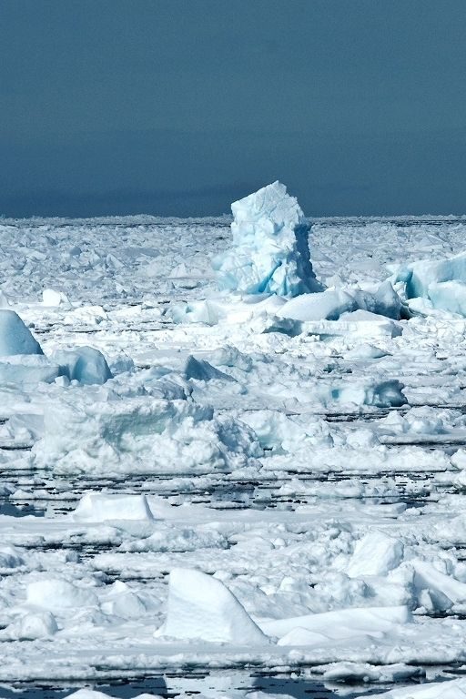 changement climatique pôles