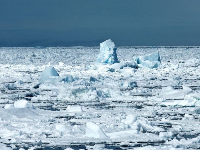 changement climatique pôles