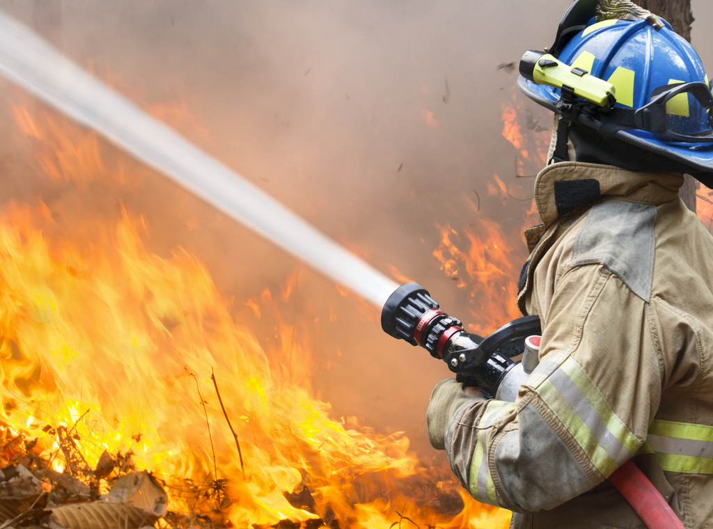 Un pompier éteint un feu de forêt