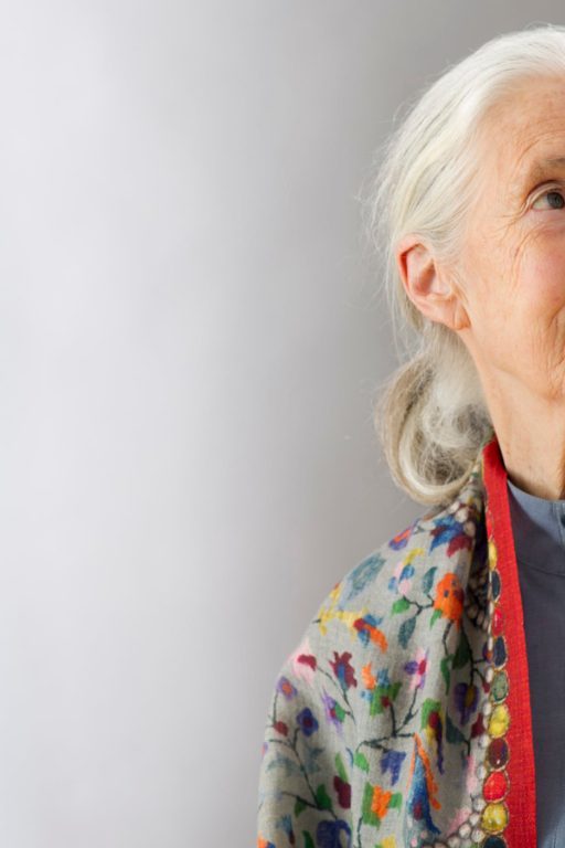 Jane Goodall 1.000 milliards d’arbres