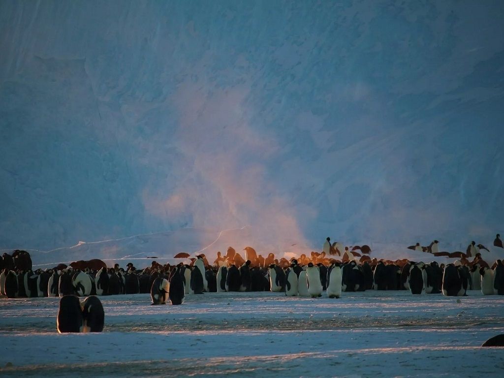 L'Antarctique terre de sciences et de paix à l'ambassade d'australie