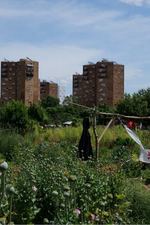 artificialisation des sols Ile-de-France