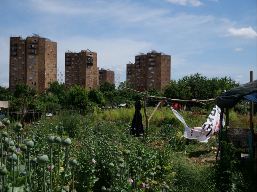 artificialisation des sols Ile-de-France