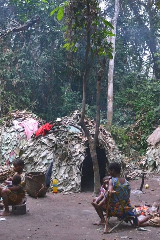 village pygmée forêt afrique