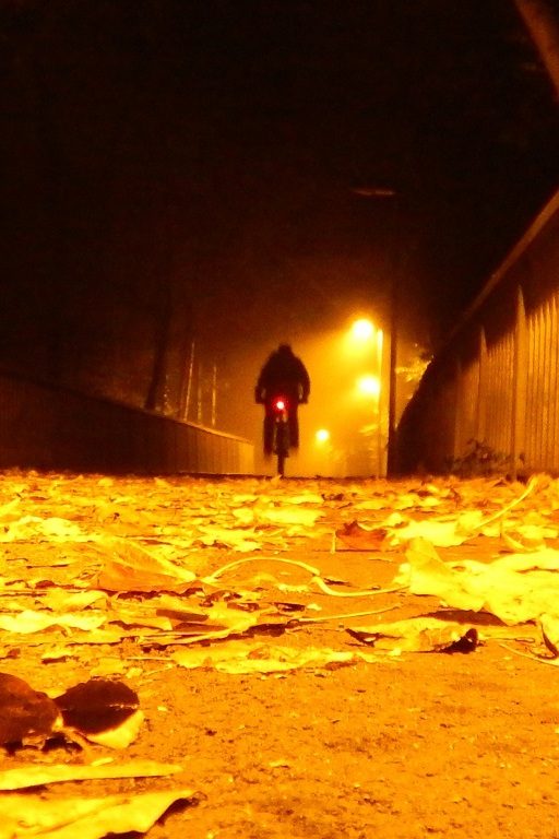 L'Académie de médecine reconnaît que la pollution lumineuse est un perturbateur endocrinien.