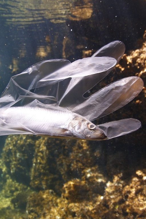 Bien que la production de plastique ait reculé en France, la question de la pollution est toujours prégnante.