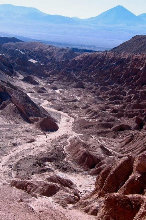 Le réchauffement climatique pourrait causer davantage de morts dans les prochaines décennies