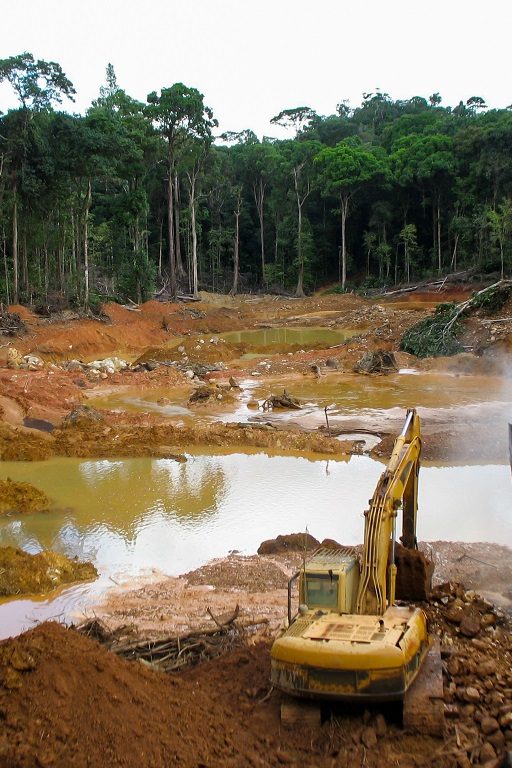 lutter contre déforestation