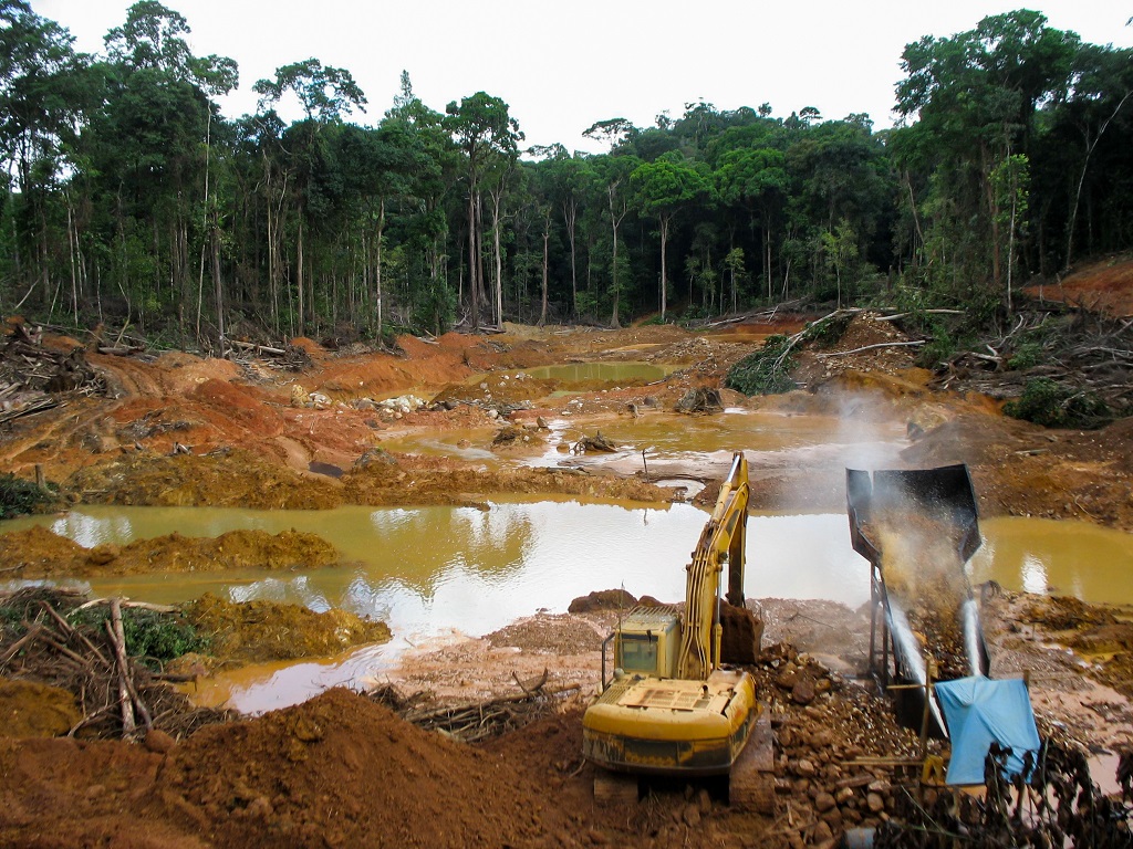 lutter contre déforestation