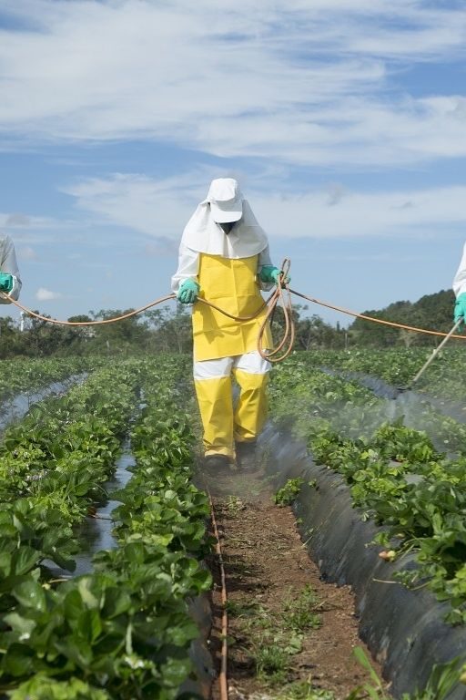 Générations Futures enquête sur la présence de pesticides aux abords des terres agricoles