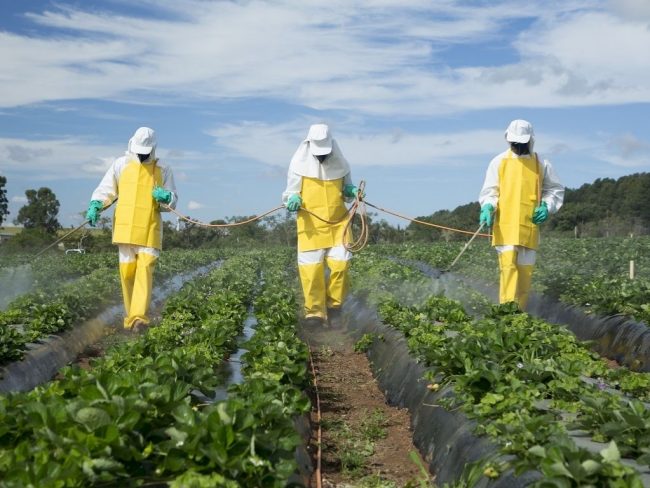 Générations Futures enquête sur la présence de pesticides aux abords des terres agricoles