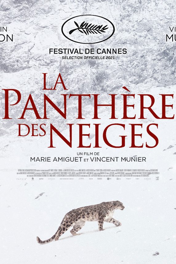 docu panthère des neiges