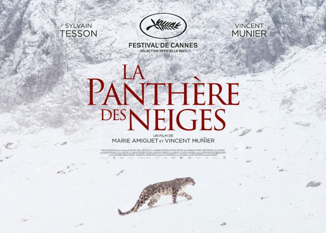 docu panthère des neiges