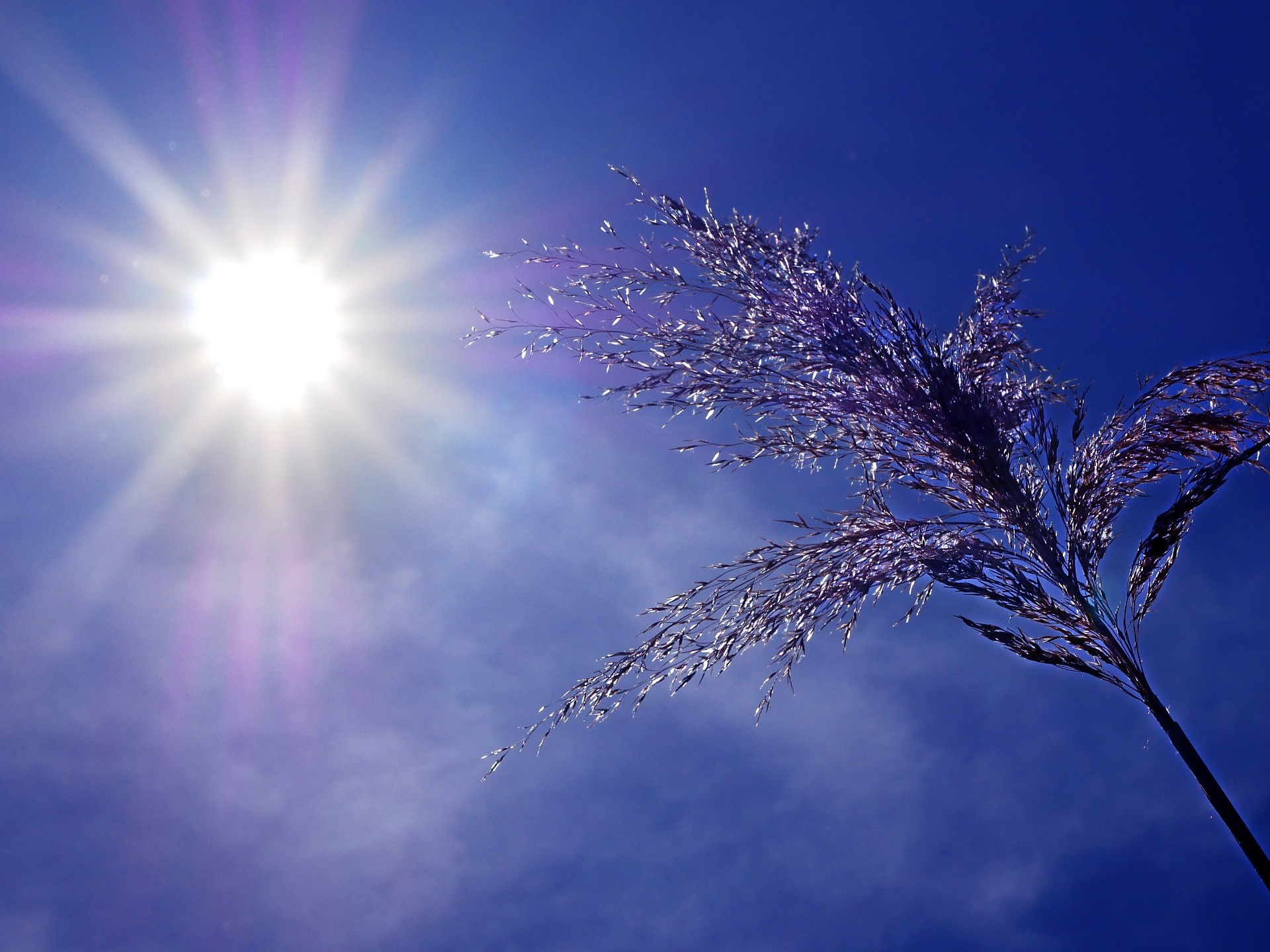 La Californie connait un épisode de canicule hivernale