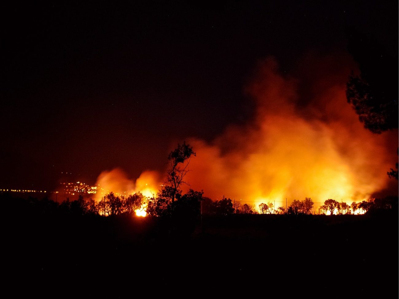 feux de forêts