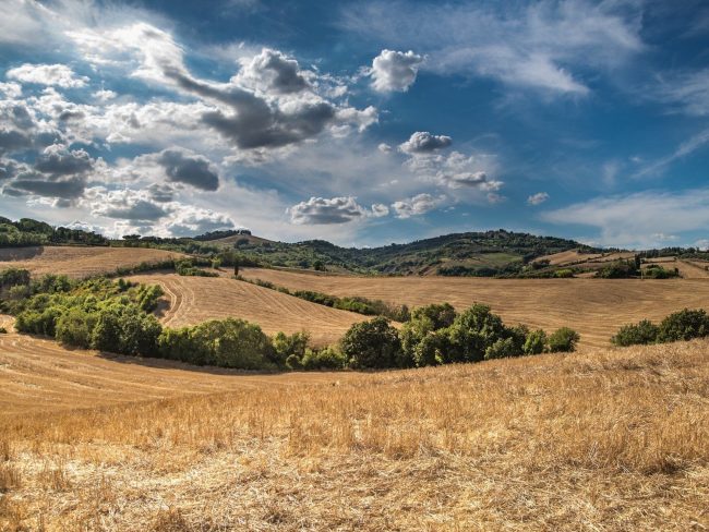 Ce mardi, Terre de liens dévoile son premier rapport sur l'état des terres agricoles en France. // PHOTO : Pixabay.