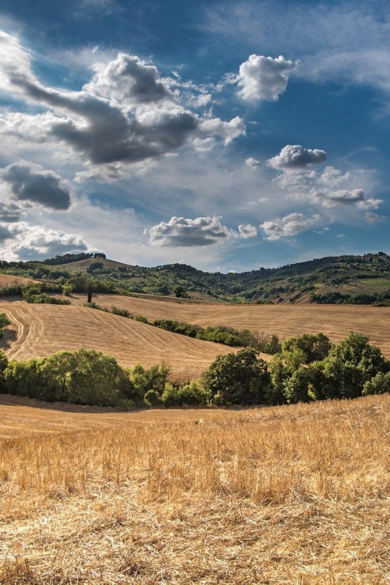 Ce mardi, Terre de liens dévoile son premier rapport sur l'état des terres agricoles en France. // PHOTO : Pixabay.
