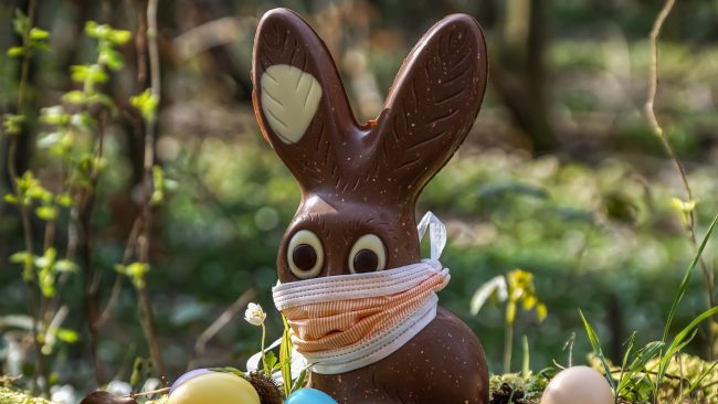 Le chocolat de Pâques contient-il de l'huile de palme ?