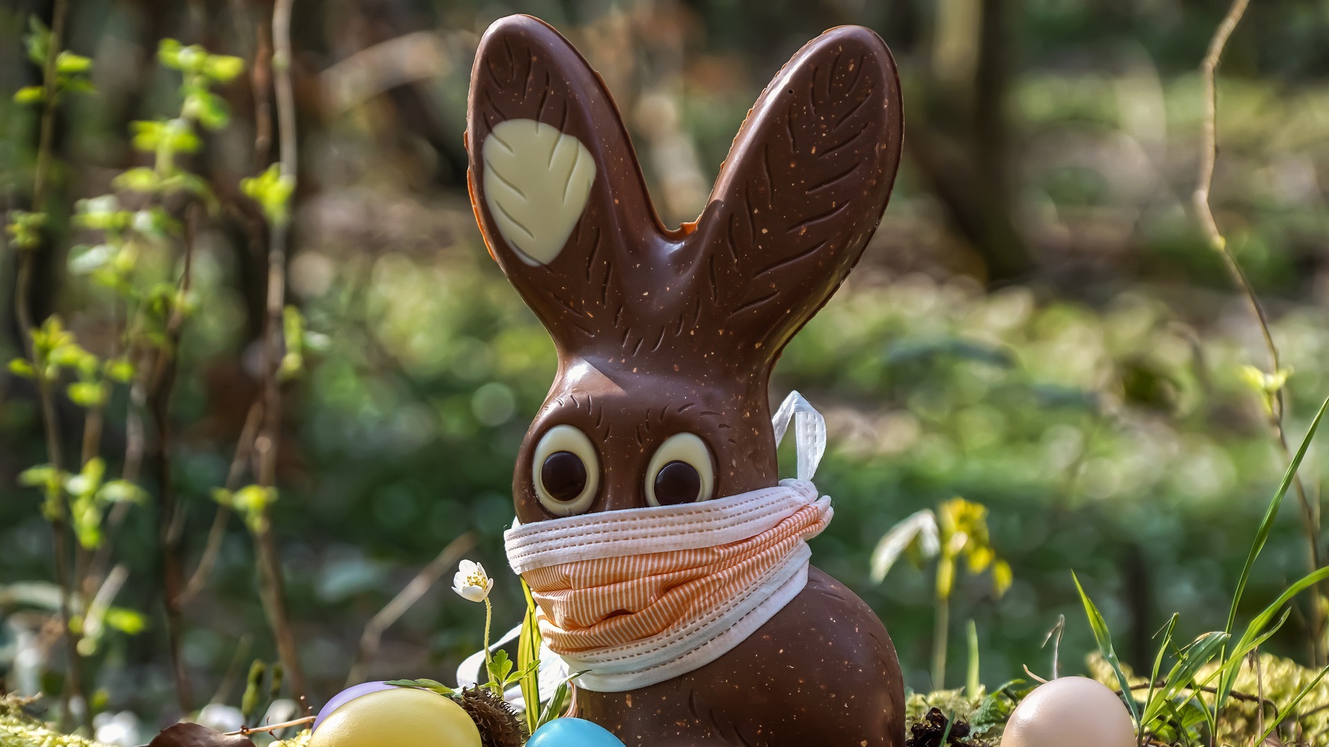 Le chocolat de Pâques contient-il de l'huile de palme ?