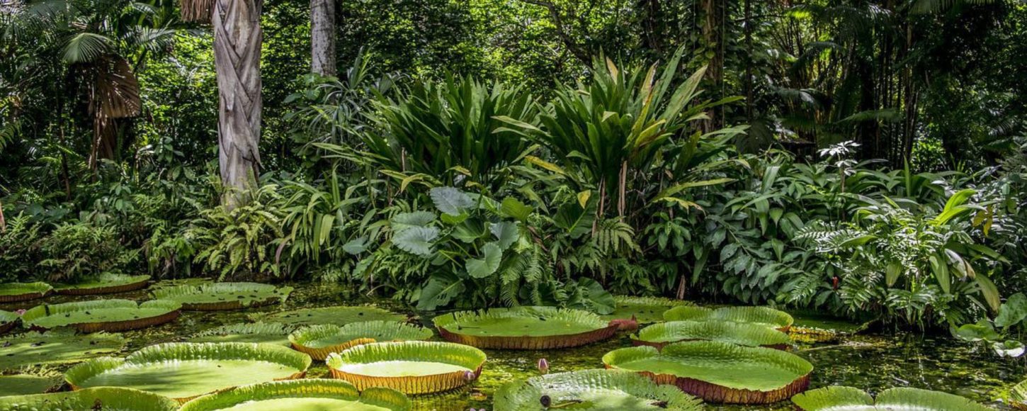 amazonie protecteurs biodiversité