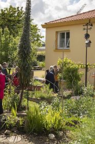 La Fête de la nature propose aux particuliers d'ouvrir leurs jardins jusqu'au 21 mai. // PHOTO : Nicolas Van Ingen.
