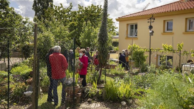 La Fête de la nature propose aux particuliers d'ouvrir leurs jardins jusqu'au 21 mai. // PHOTO : Nicolas Van Ingen.