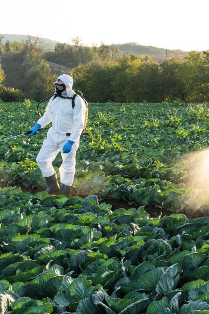 Pesticides expertise Inserm Inrae