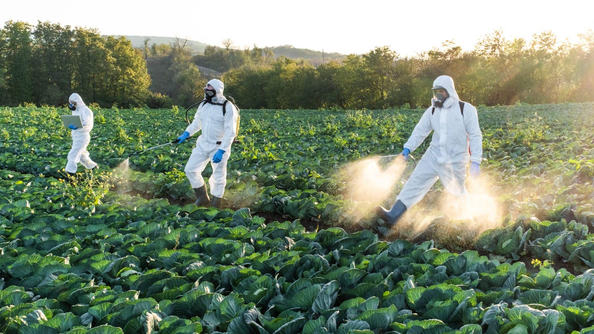 Pesticides expertise Inserm Inrae