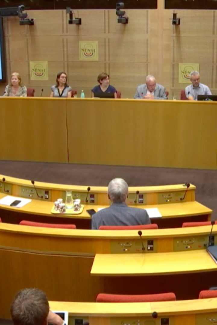 uatre expertes et experts du GIEC ont été auditionnés par le Sénat ce 29 juin. // PHOTO : capture d'écran de la séance.