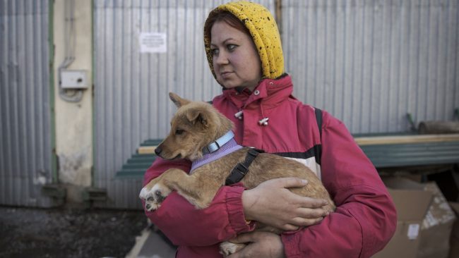 Lviv, Ukraine. La guerre en Ukraine touche également les animaux. // PHOTO : OZGE ELIF KIZILANADOLU AGENCYAnadolu Agency via AFP