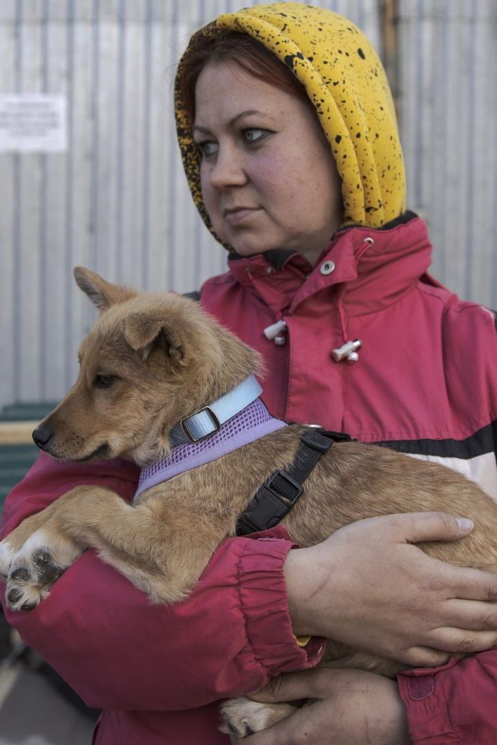 Lviv, Ukraine. La guerre en Ukraine touche également les animaux. // PHOTO : OZGE ELIF KIZILANADOLU AGENCYAnadolu Agency via AFP
