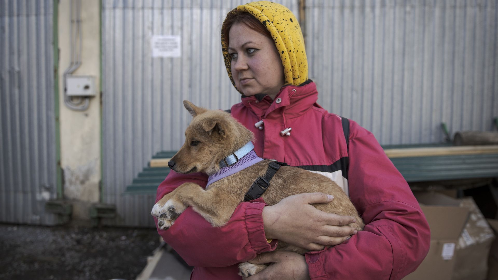Lviv, Ukraine. La guerre en Ukraine touche également les animaux. // PHOTO : OZGE ELIF KIZILANADOLU AGENCYAnadolu Agency via AFP