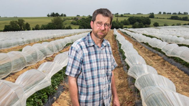 sécheresse agriculteurs maraîchers