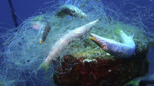 filet de pêche abandonné