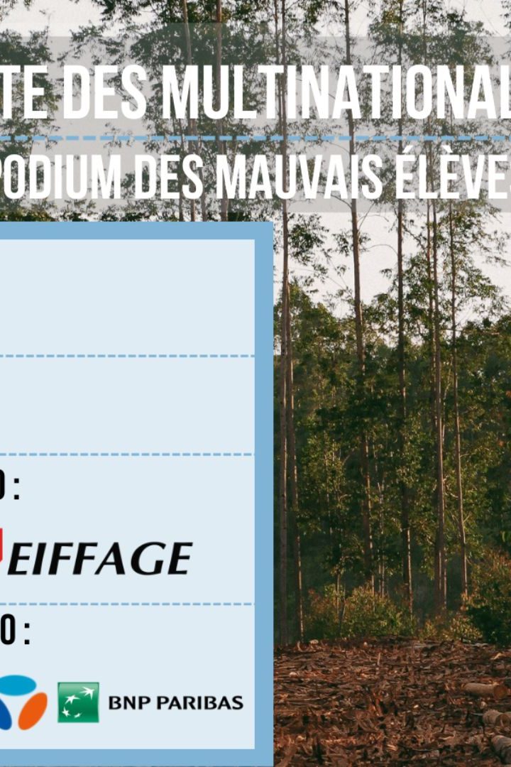 Notre Afaire à Tous publie ce 13 juillet un benchmark de 27 multinationales concernant le devoir de vigilance climatique. // PHOTO : Notre Affaire à Tous.