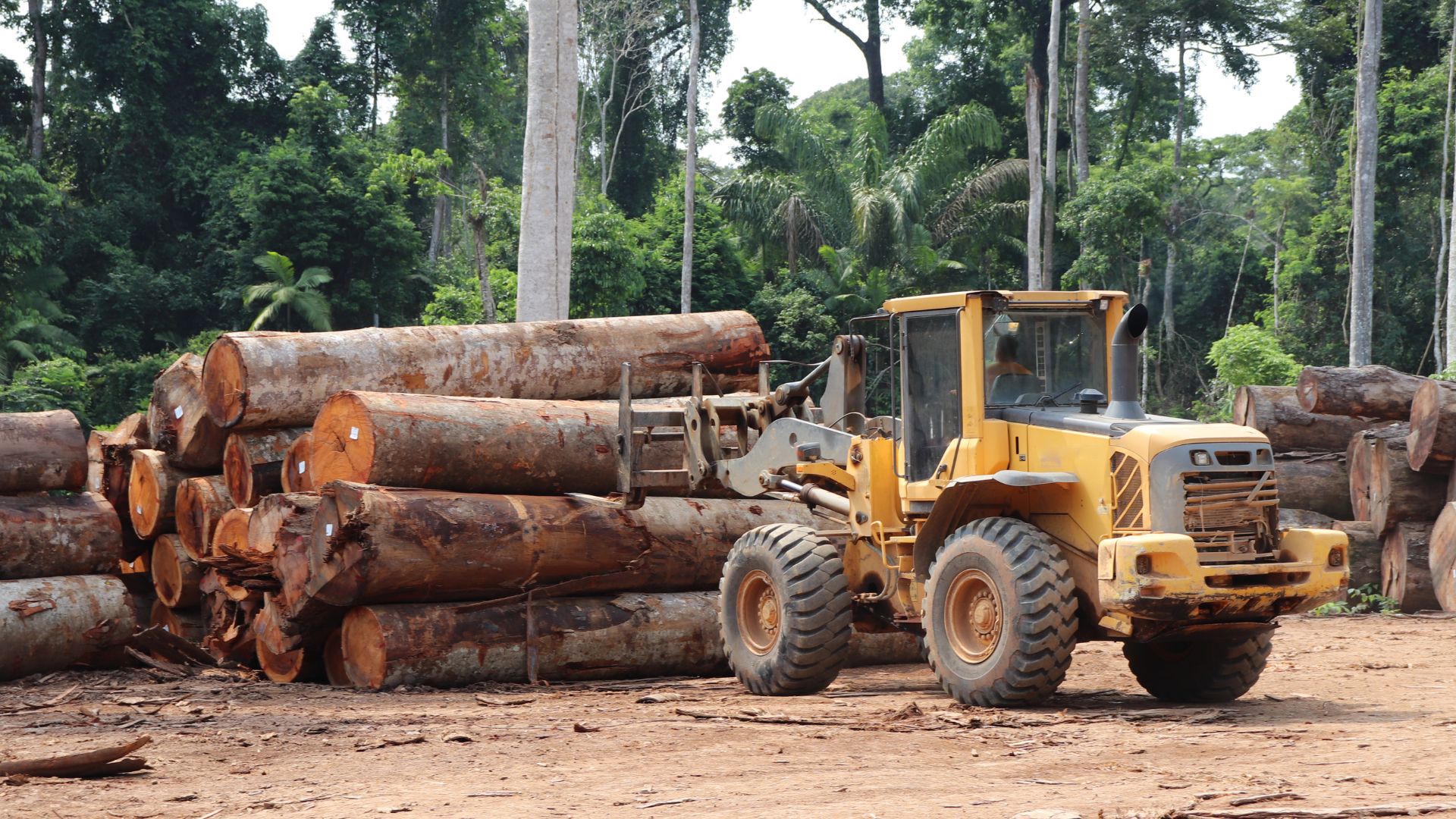 Déforestation importée europe