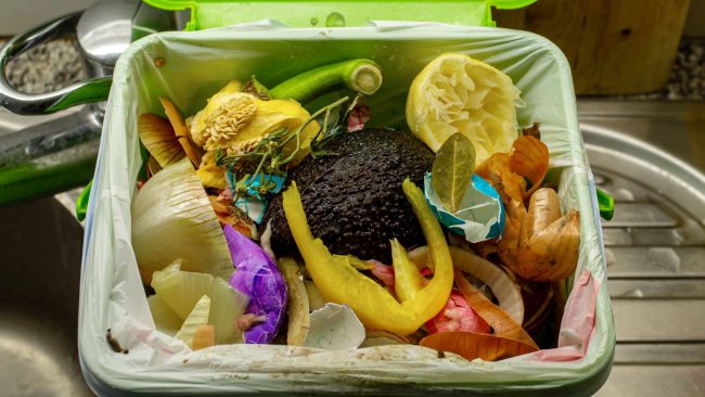 L'Anses veut exclure tout plastique du compost et composteurs domestiques